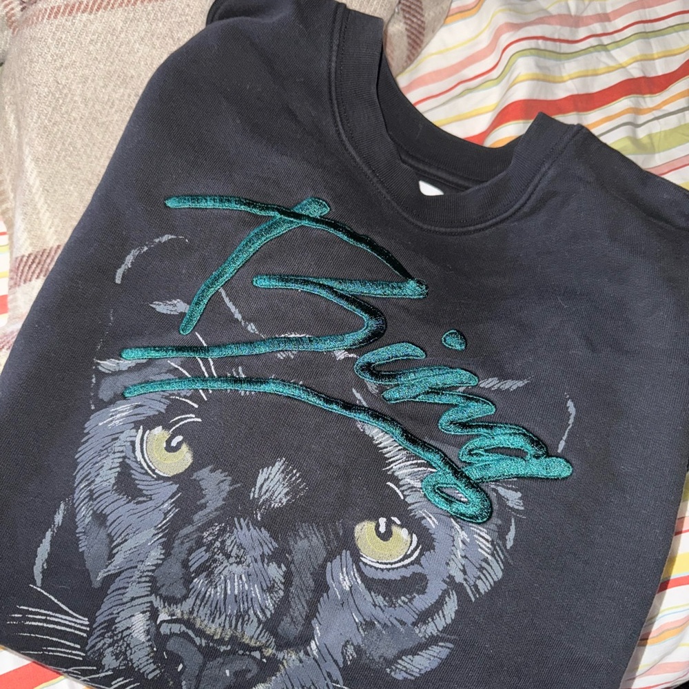 Anine Bing Rare sold out sweatshirt